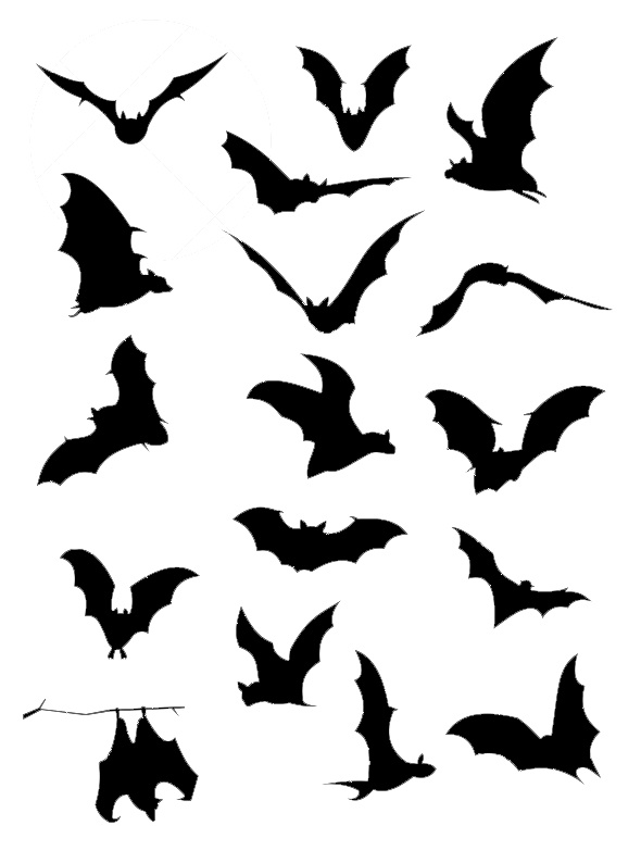 a bunch of bats that are flying in the air