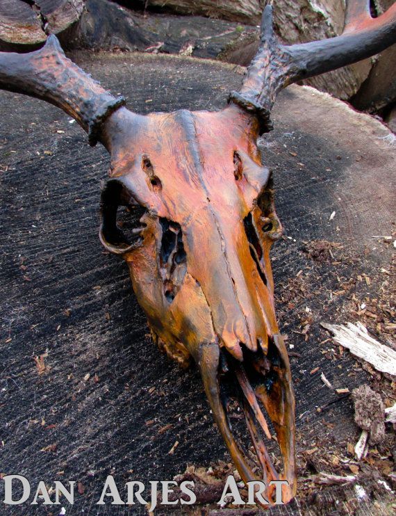 an animal's skull is sitting on top of a tree stump