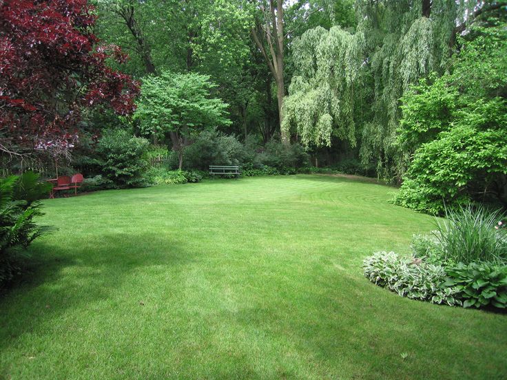 a lush green lawn surrounded by trees and bushes