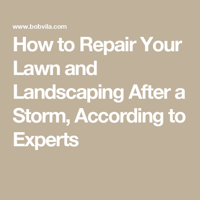 the words how to repair your lawn and landscaping after a storm, according to experts