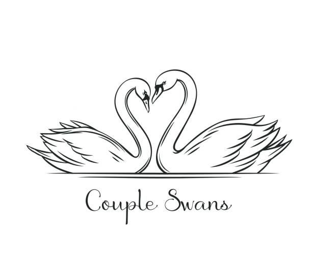 two swans making a heart shape with the word couple swans on it's side