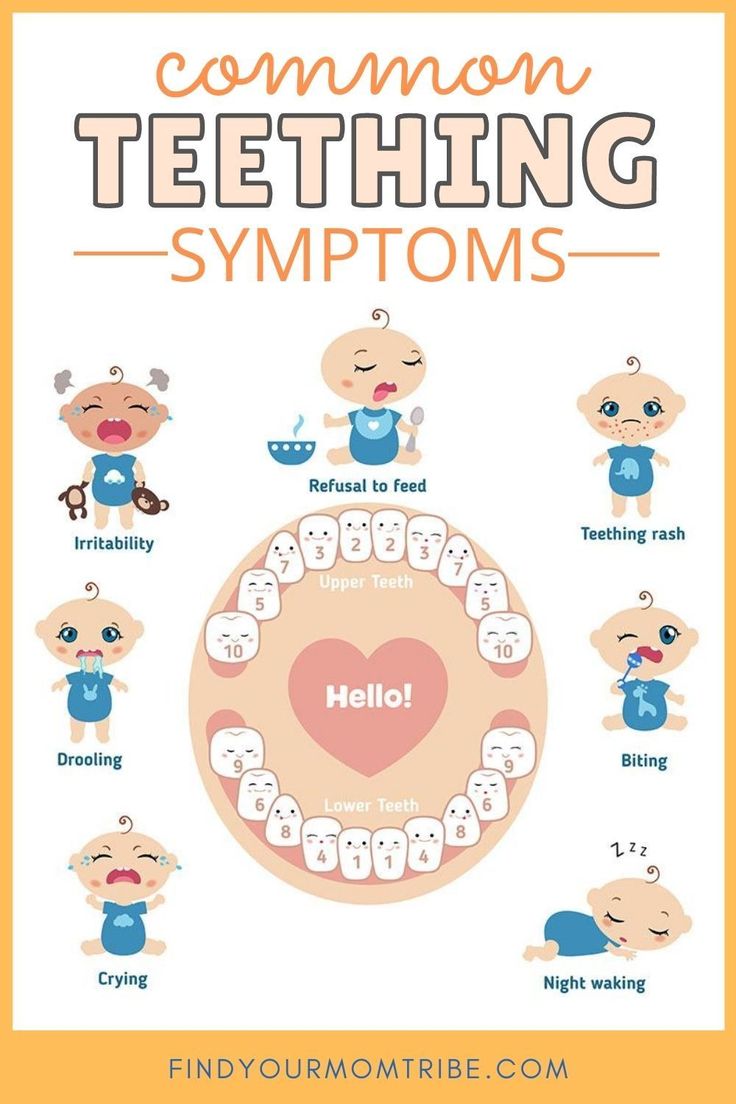 an info poster with the words common teething symptoms and pictures of baby's teeth