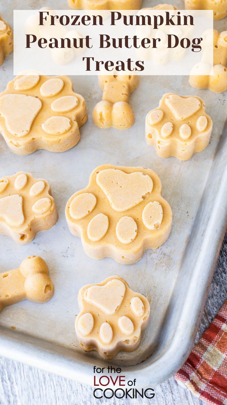 frozen pumpkin peanut butter dog treats on a baking sheet with text overlay that reads frozen pumpkin peanut butter dog treats