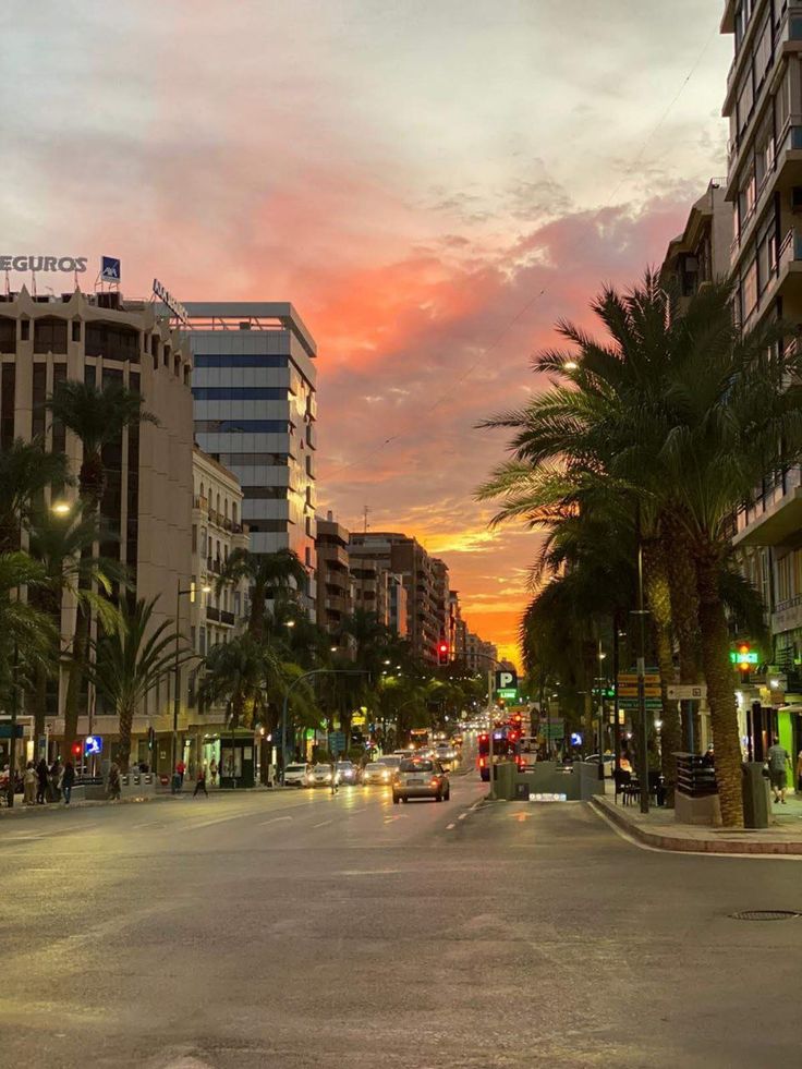 a city street with palm trees on both sides and buildings in the background at sunset