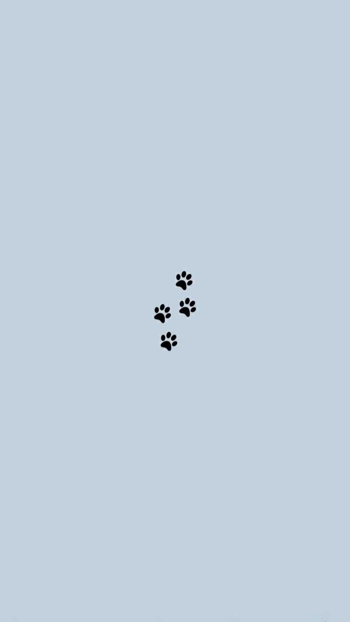 two dogs are walking in the sky with their paws out