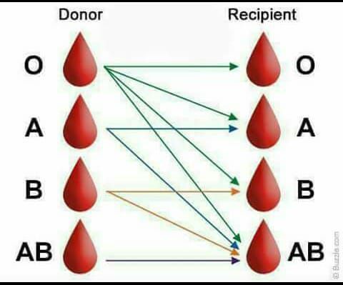 the diagram shows how to use an object in order to make it look like they are doing