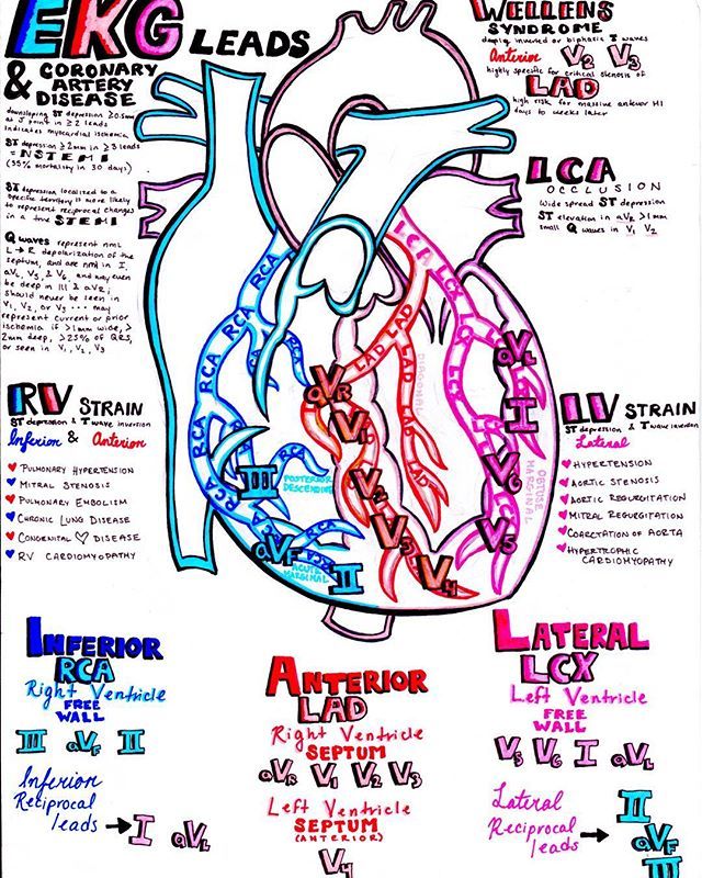 a poster with an image of the human heart