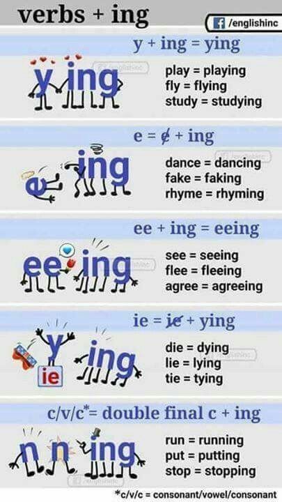 three different types of english words with the same word in each language, and one has an