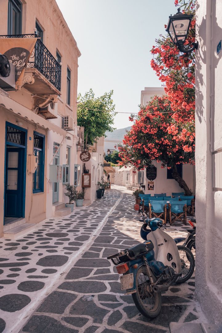 a motorcycle parked on the side of a street next to a building with red flowers