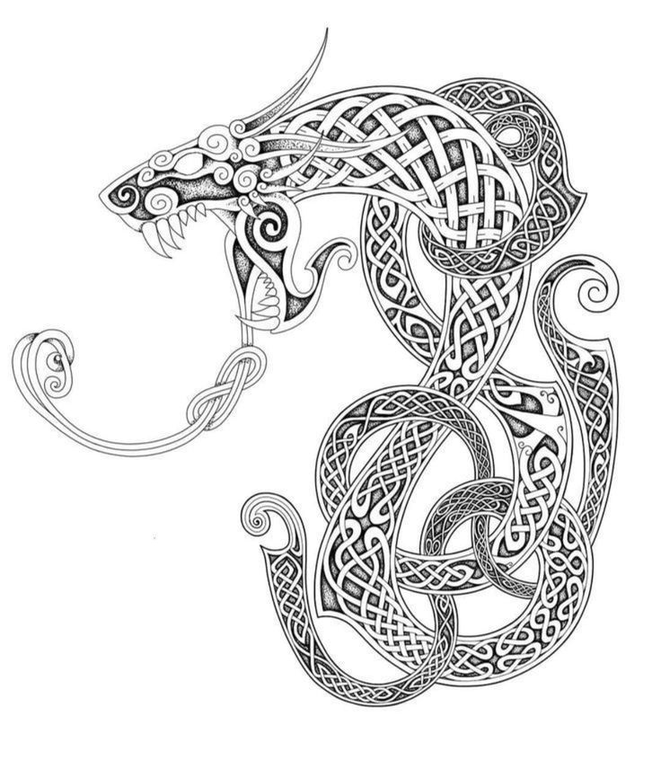 a drawing of a dragon with intricate patterns on it's body and head, in the shape of a celtic knot