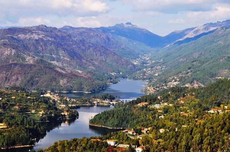 a lake surrounded by mountains in the middle of a forest filled with lots of trees