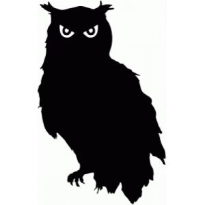 an owl silhouetted against a white background with the words, i am not sure what this image is