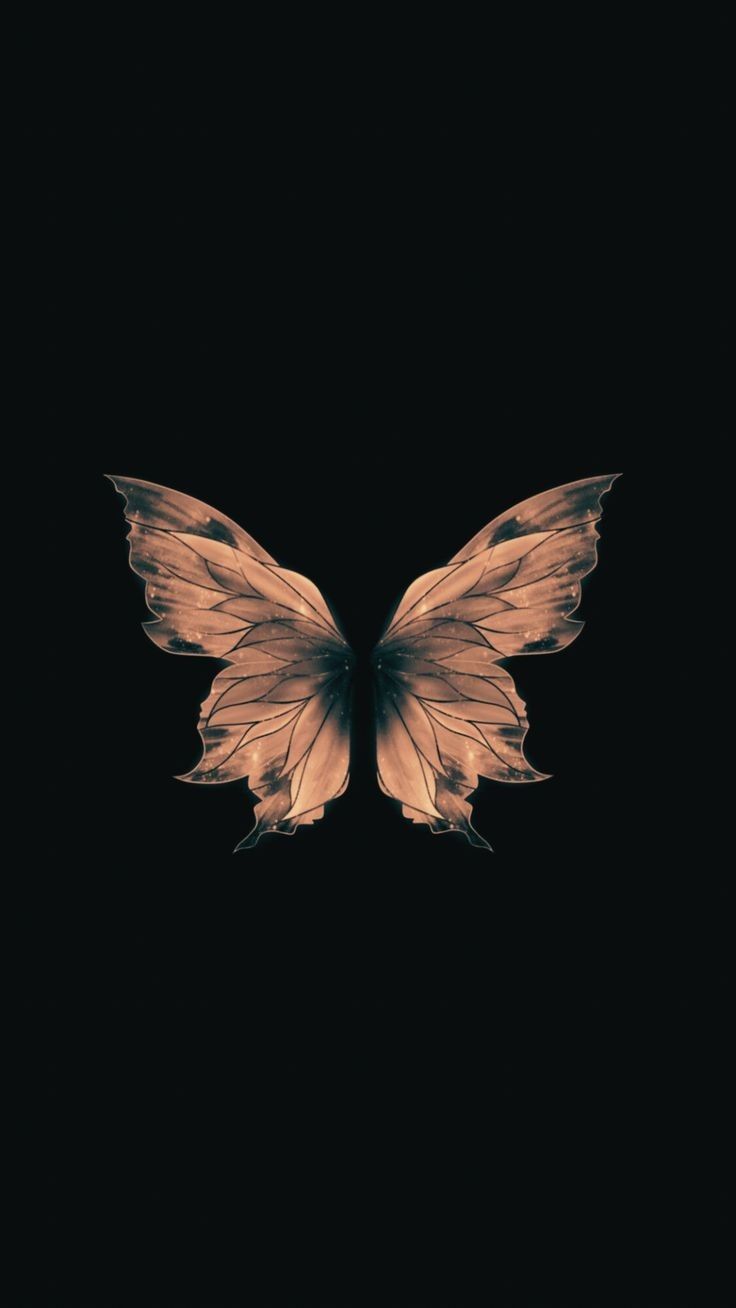 an image of a butterfly in the dark