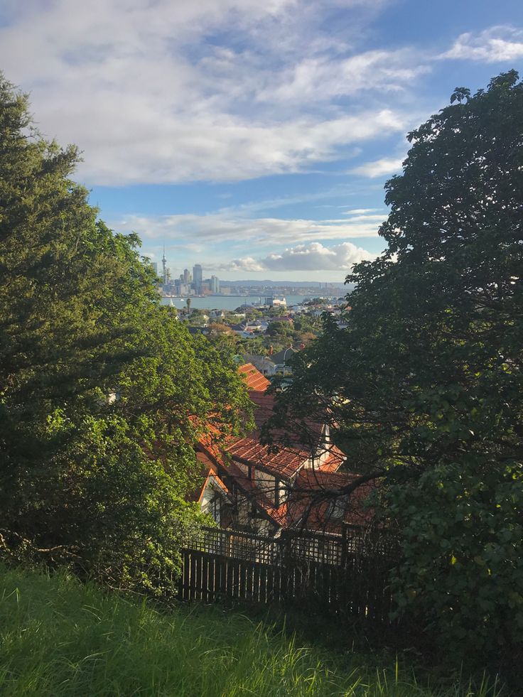 the city is seen through some trees and grass