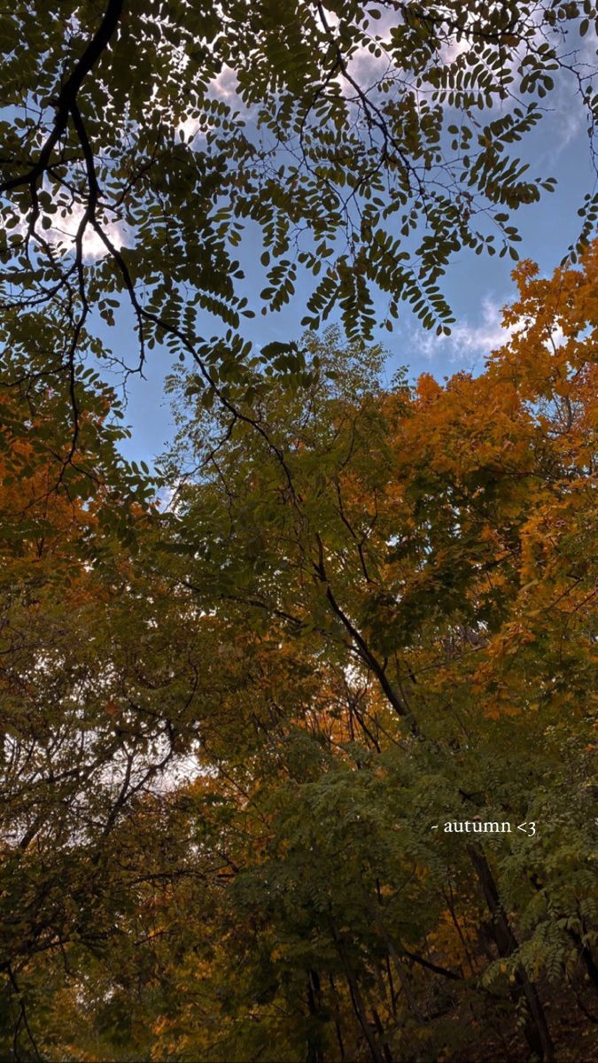 trees with yellow and red leaves in the foreground, against a blue cloudy sky