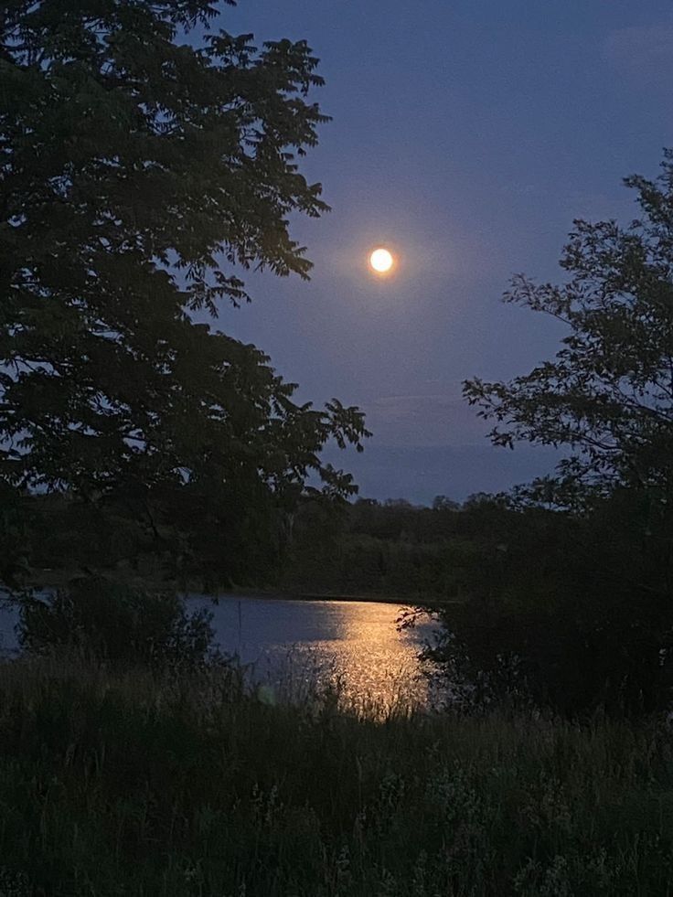 the moon shines brightly over a lake at night with trees in the foreground