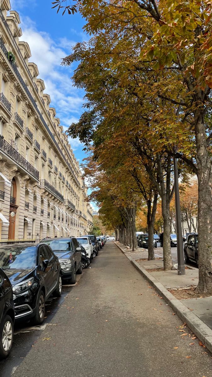 cars parked on the side of a street next to tall buildings with trees lining both sides