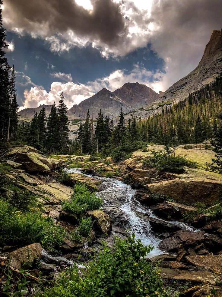 a river running through a lush green forest under a cloudy sky with mountains in the background