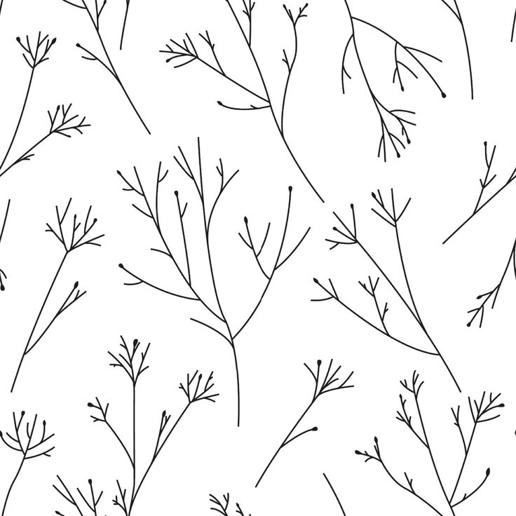 black and white drawing of branches with small leaves on the stems, as well as some smaller