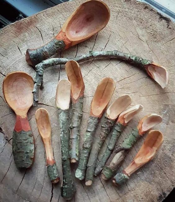 wooden spoons are arranged on a tree stump