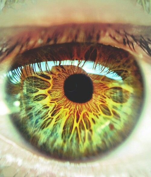 an extreme close up shot of the iris of a person's eye with yellow and green colors