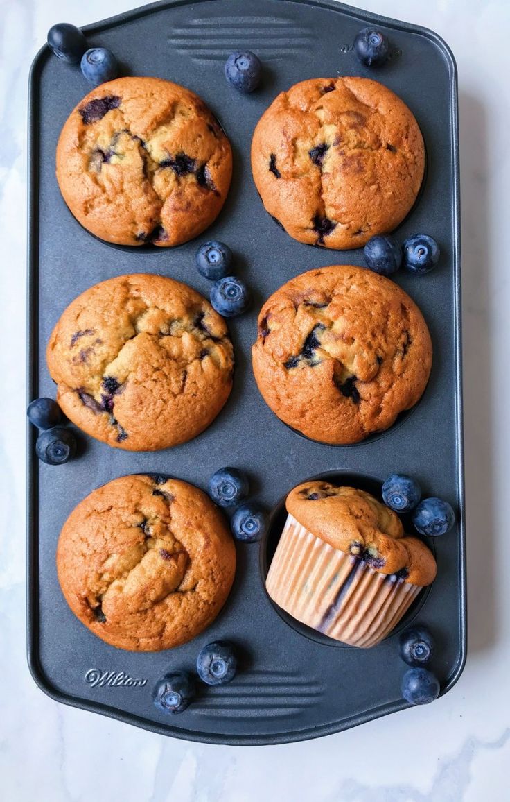 blueberry muffins in a muffin pan with fresh blueberries