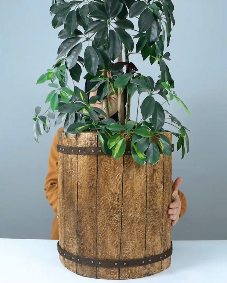 a person holding a plant in a wooden barrel