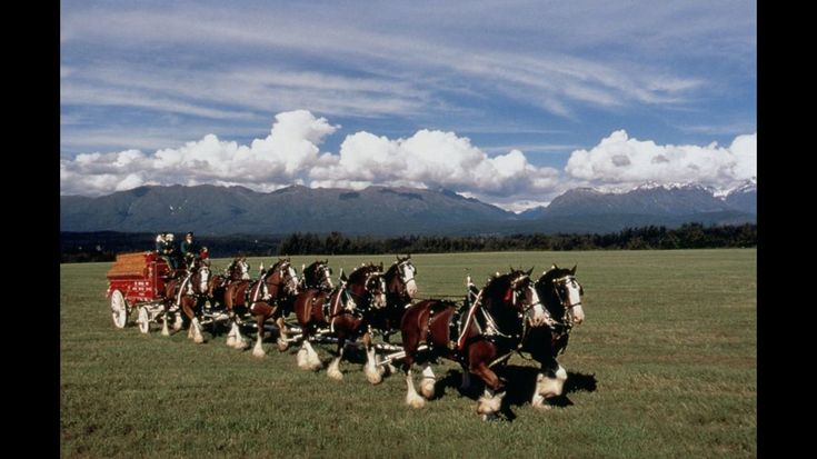 a group of horses pulling a wagon with people on it through the grass in front of mountains