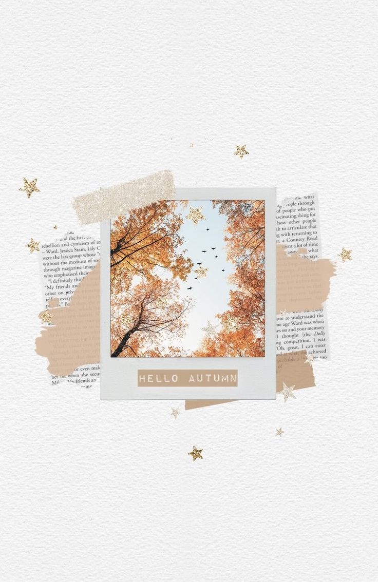 an open book with autumn leaves on it