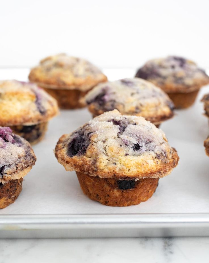 blueberry muffins on a baking tray ready to be eaten