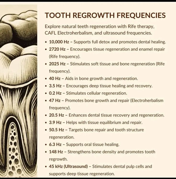 Tooth Health, Teeth Tips, Frequency Healing, Body Facts, Homeopathy Medicine, Sound Frequencies, Teeth Health, Feminine Health, Energy Healing Spirituality