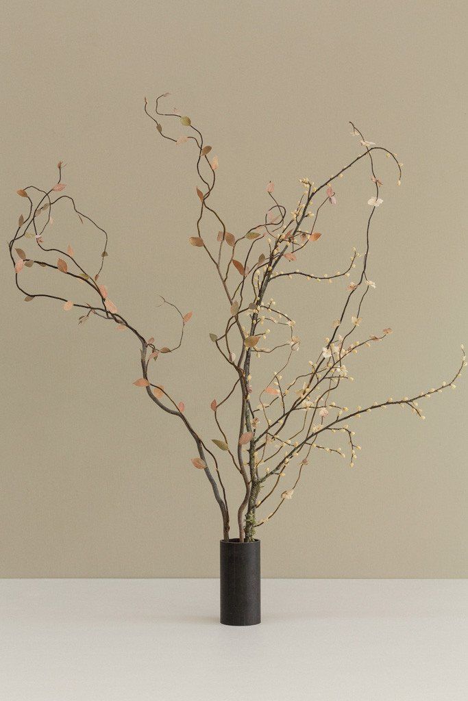 there is a vase with some branches in it