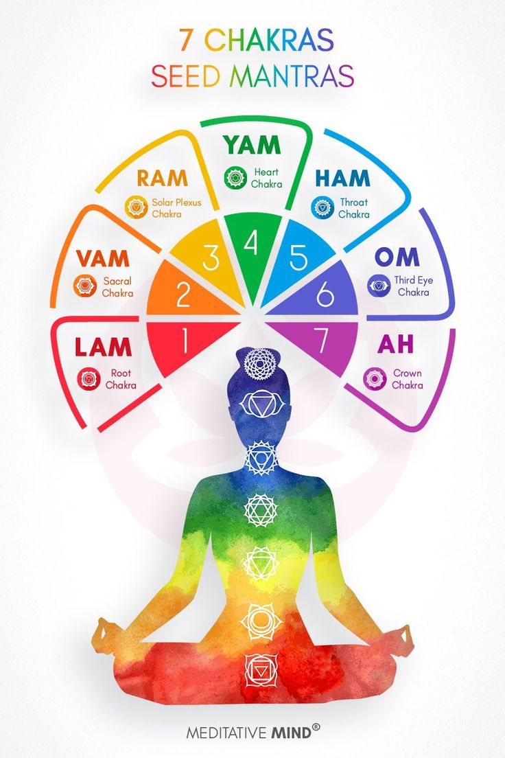 7 Chakras Seed Mantras. 7 Chakra, Chakra For Beginners, 7 Chakras Meditation, Chakra Mantra, Yoga Facts, Chakra Healing Meditation, Chakra Health, Healing Mantras, Yoga Mantras