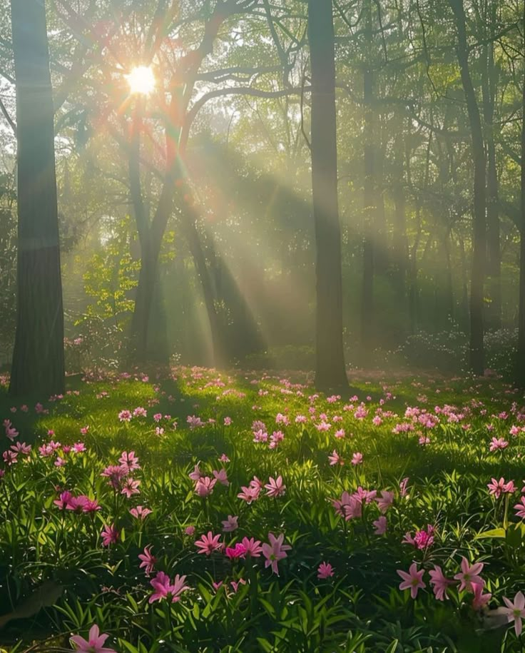 the sun is shining through the trees and flowers in the forest with pink lilies