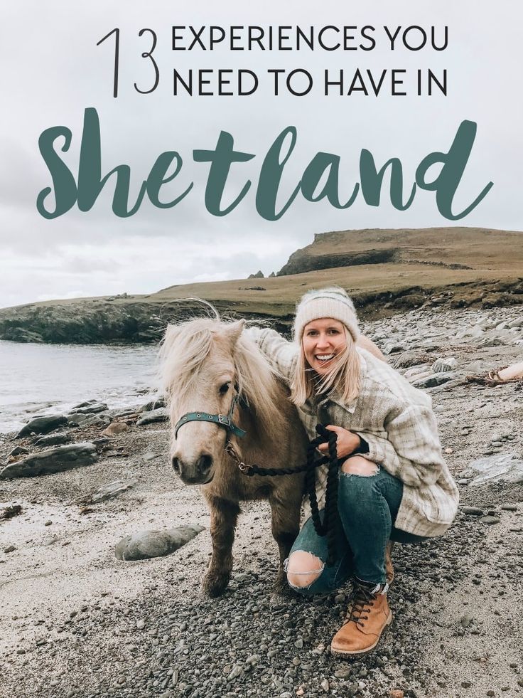 a woman kneeling down next to a horse with the words, 13 experiences you need to have in shetland