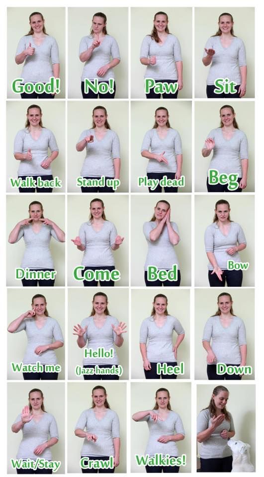 a collage of photos showing different poses for women to show off their bras