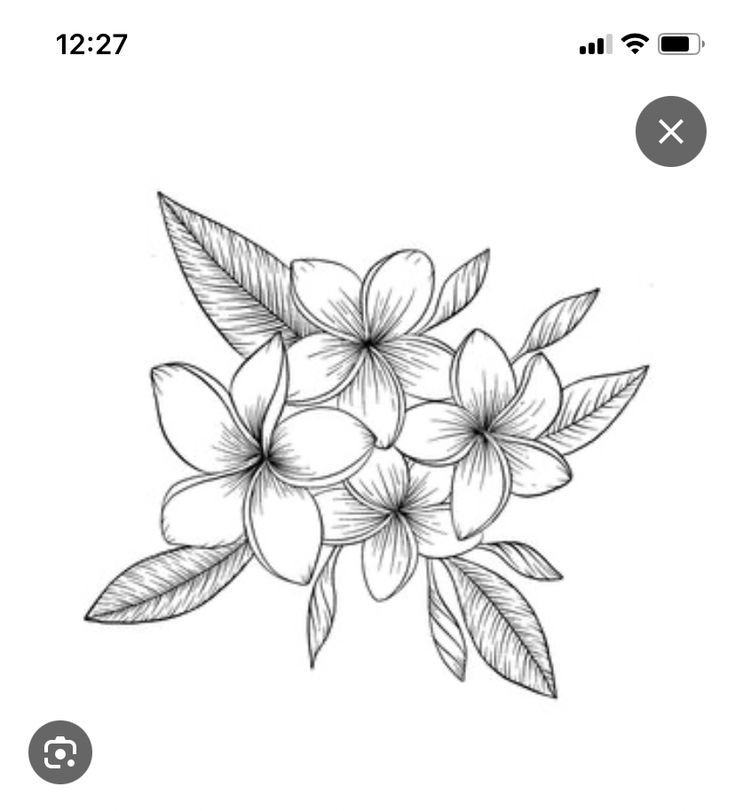 a drawing of some flowers on a white sheet with the words,'flower sketching app