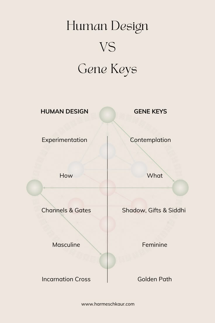 Human Design & Gene Keys work in different ways, but both can help you find and live your purpose. Read more in my blog. Increase Height Exercise, Finding Your Purpose, Gene Keys, What Is Human, Human Design System, Post Human, Sciatic Nerve Pain, Dream Symbols, Abraham Hicks Quotes