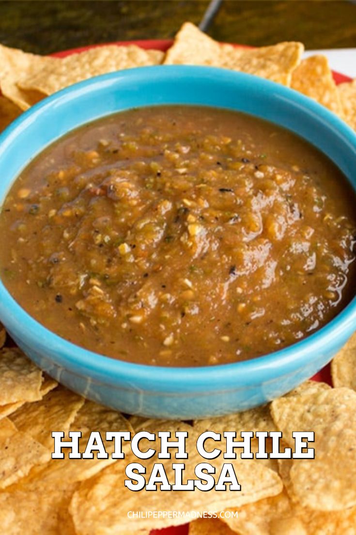 a blue bowl filled with salsa surrounded by tortilla chips