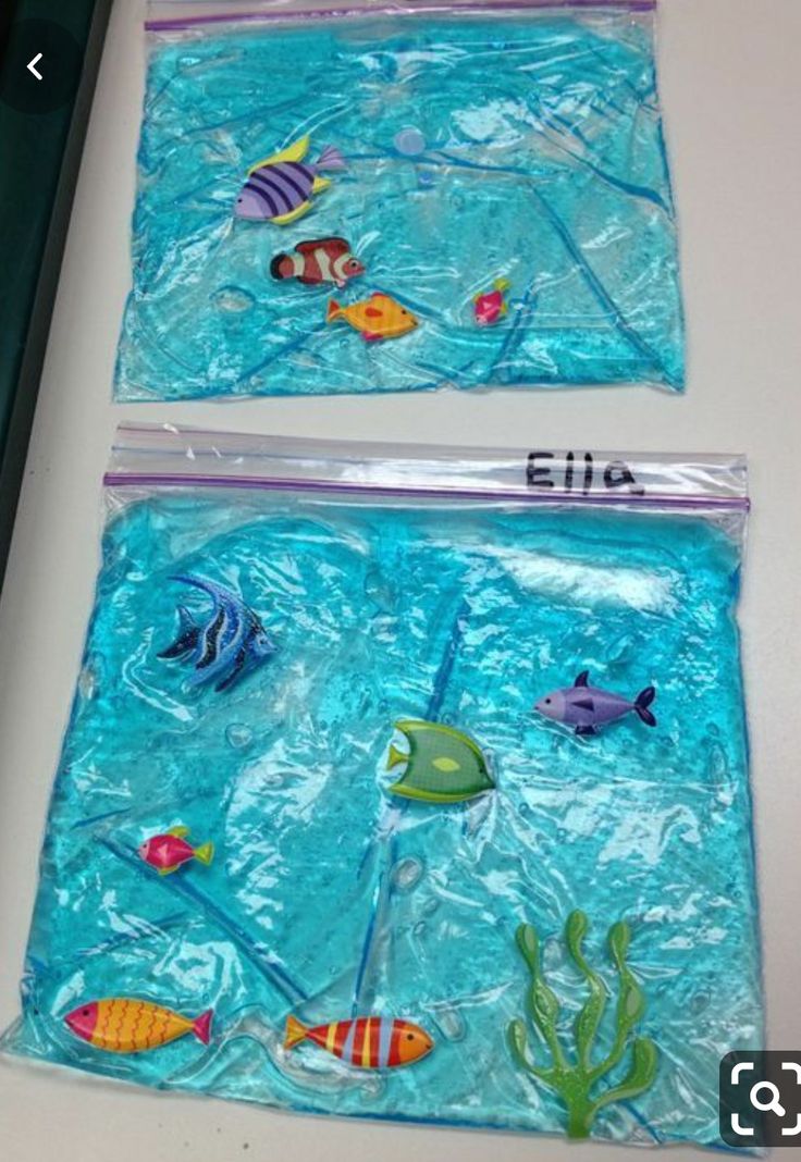 two bags filled with different types of sea animals