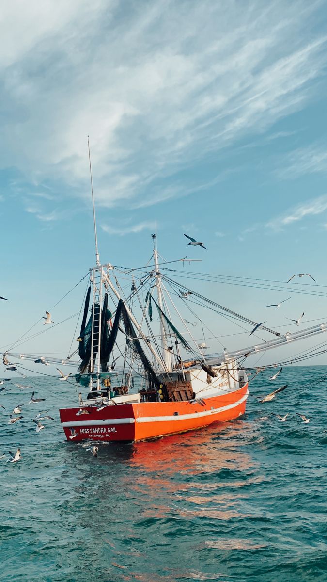 a red and white boat in the water with seagulls flying around it on a sunny day