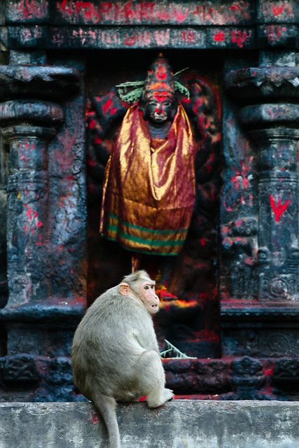 a monkey sitting on top of a stone wall next to a statue with a gold mask