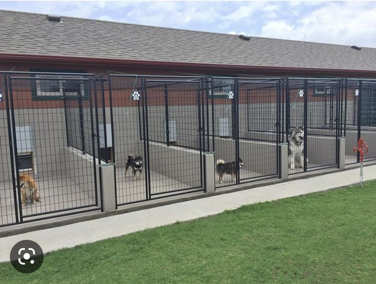 several dogs are in their kennels at the dog park