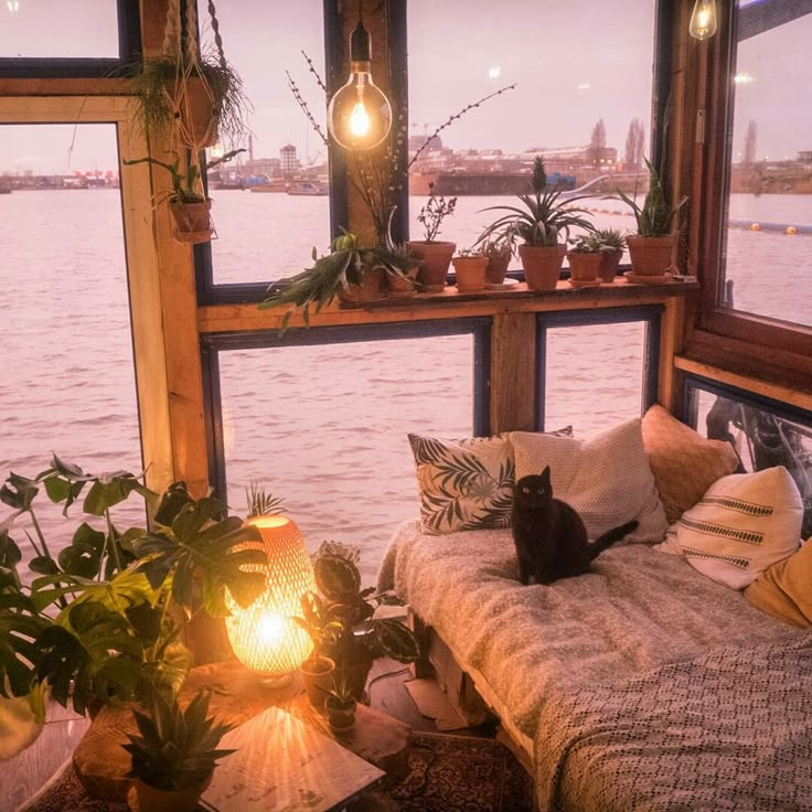 a black cat sitting on top of a couch next to a window filled with potted plants