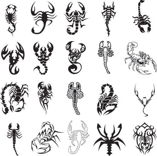 the different types of scorpion tattoos