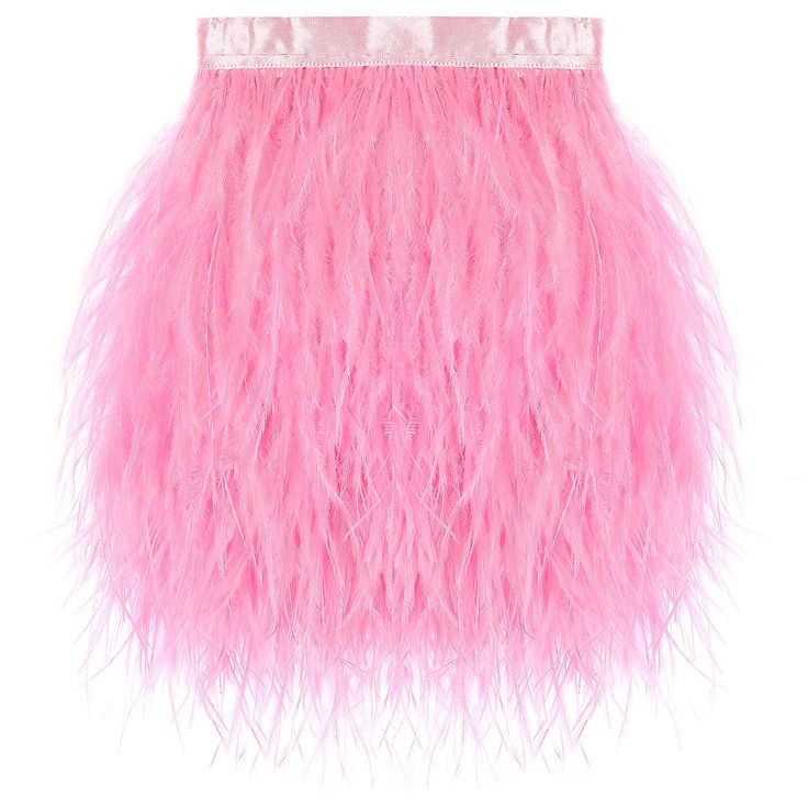 a pink skirt with long, fluffy feathers on the bottom and a silver band around the waist