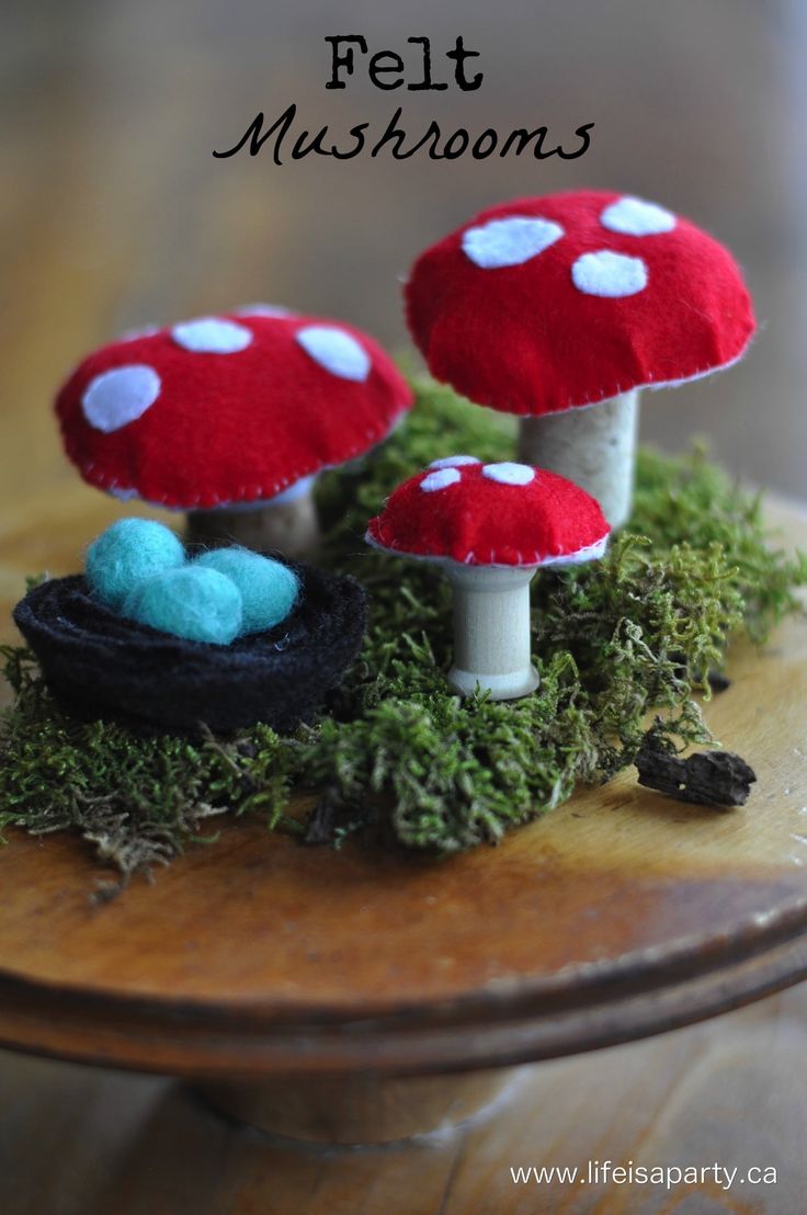 two mushrooms sitting on top of a moss covered table