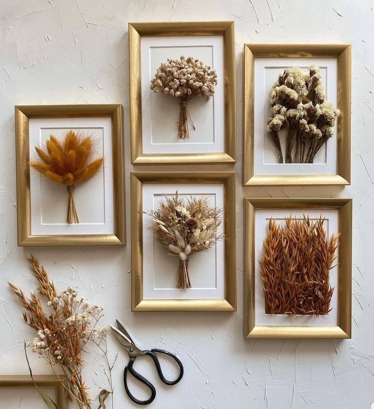 four framed pictures with dried flowers and scissors on the wall next to them are dead plants