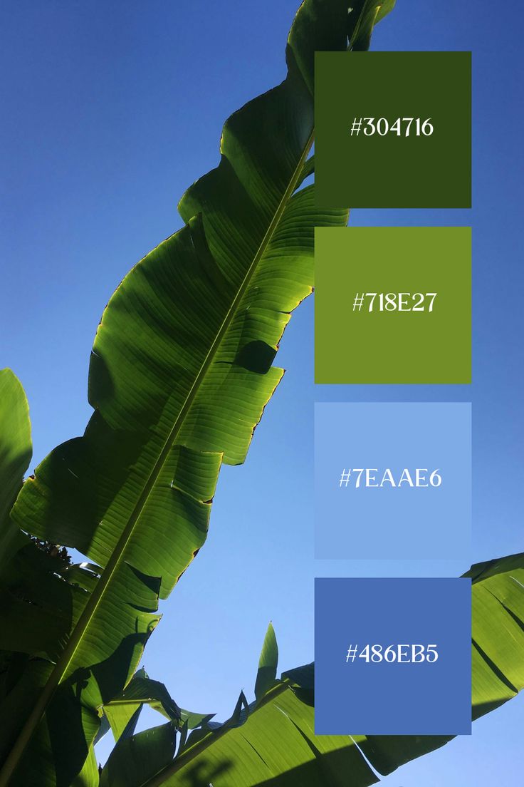 some green leaves and blue sky with the words teaaeo on them in different colors