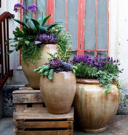 three large vases with plants in them sitting on steps